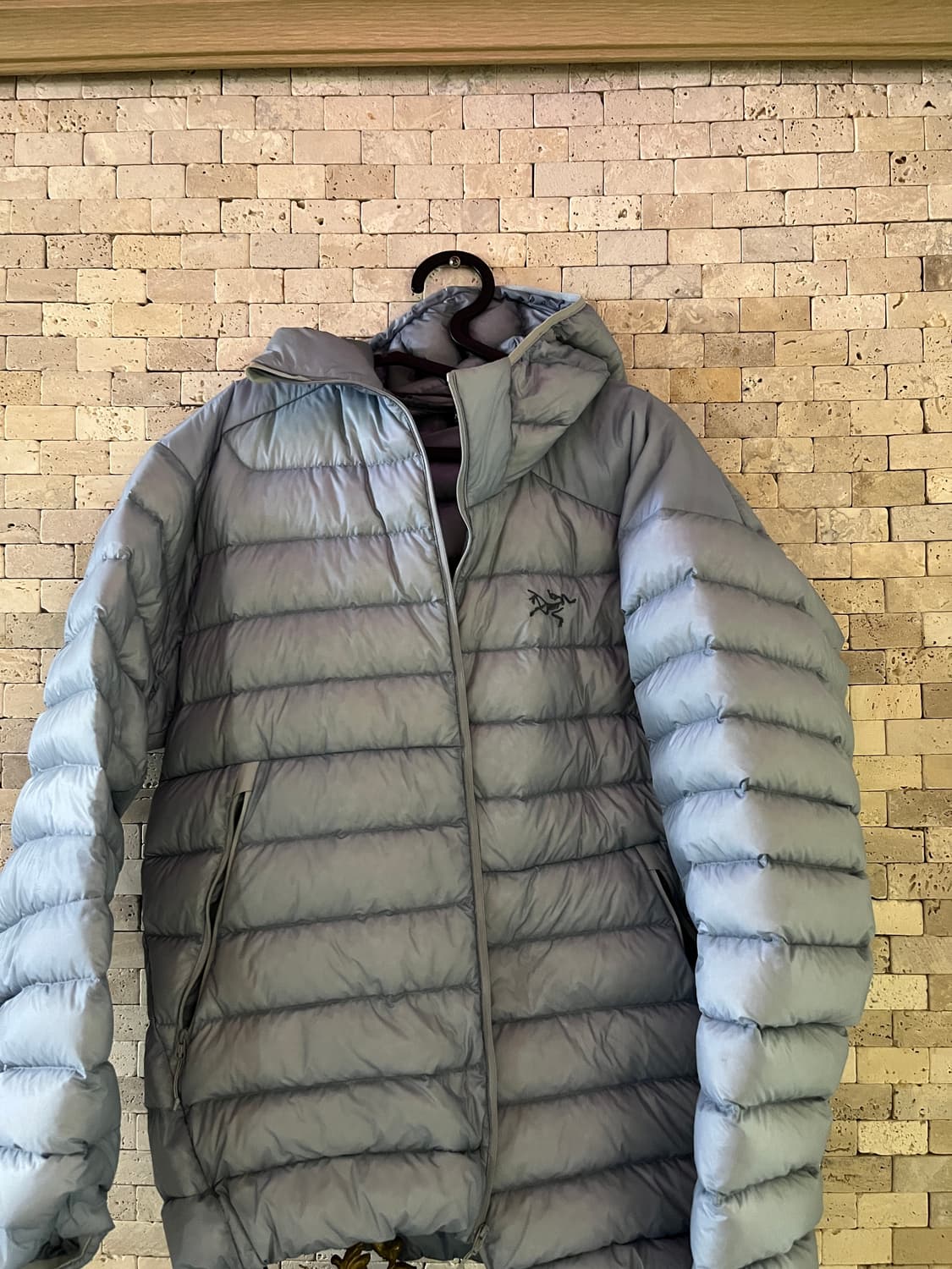 아크테릭스 루센트 L 상품이미지3