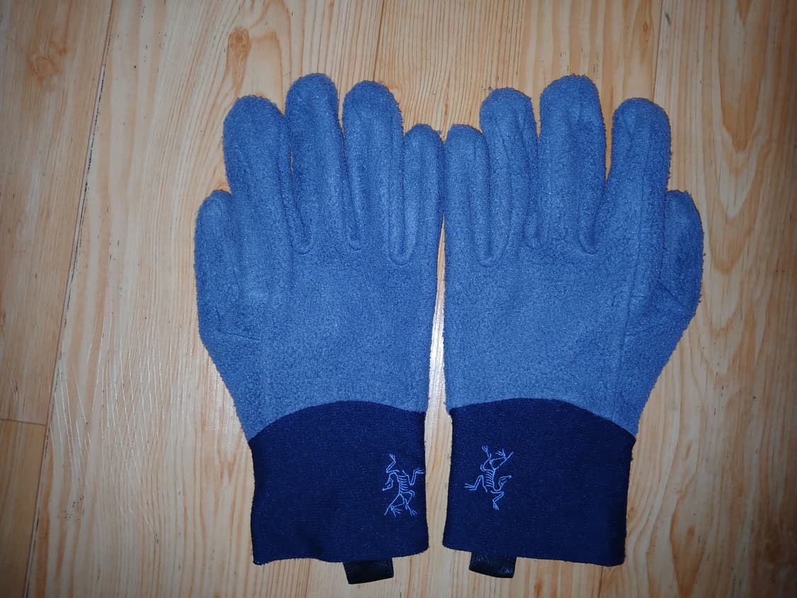 아크테릭스 델타 AR 글러브 (Delta AR Glove) 상품이미지2