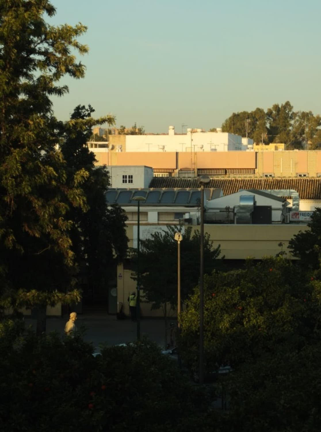 후지 필름 x10 신품급 소장용급 감성 똑딱이 카메라 작례 O 상품이미지7