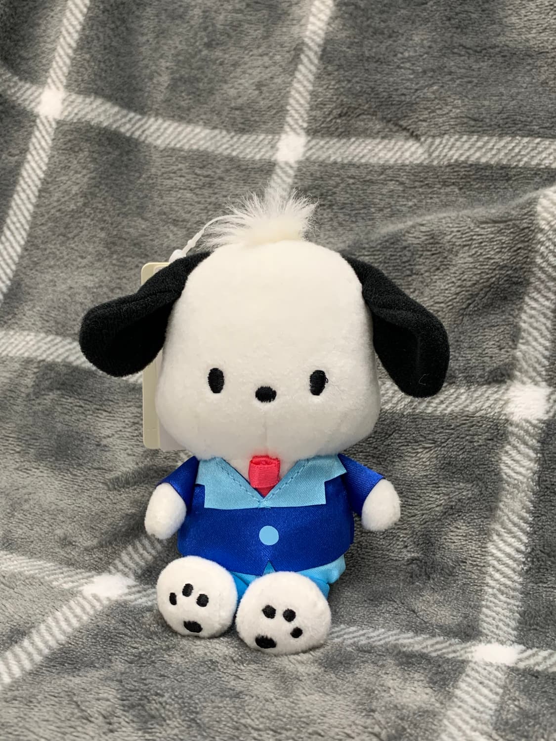 산리오 퓨로랜드 한정 포차코 마스코트 키링 상품이미지1