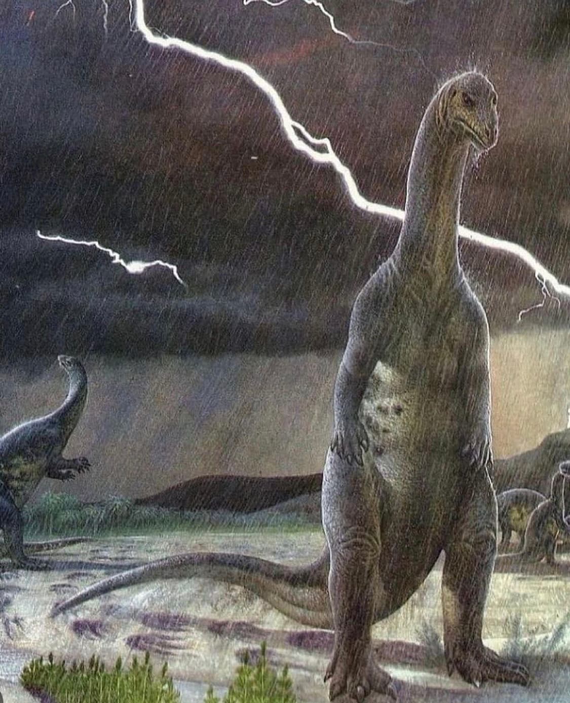 사진주의)일본 귀신 공포게임 스웨터 니트 상품이미지1