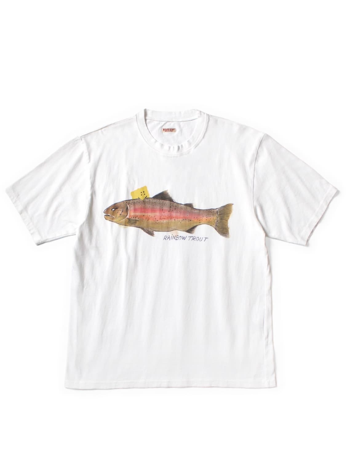 캐피탈(KAPITAL) 20저지 크루 티셔츠 1트라우트, 패키쉬 레인보우 상품이미지2