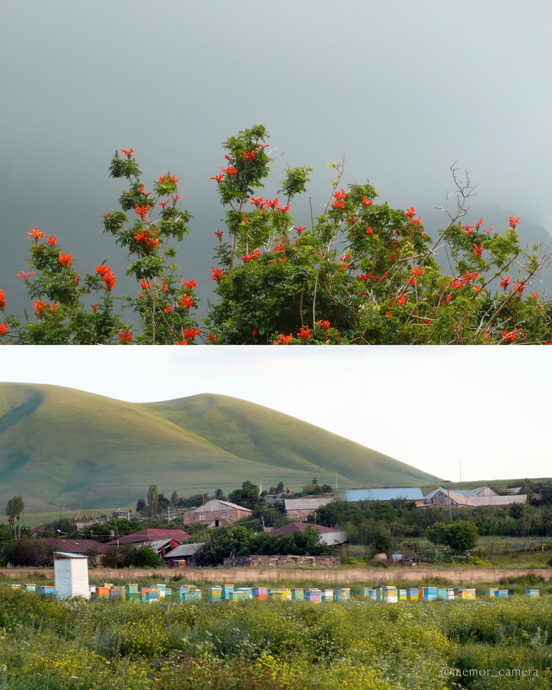 라이카렌즈💎Panasonic DMC-FX100 파나소닉 빈티지디카 상품이미지9