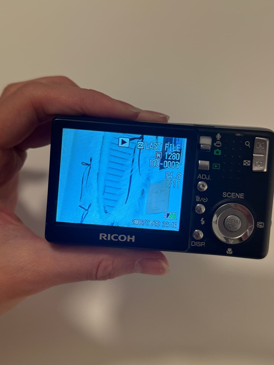 리코 caplio r4  상품이미지2