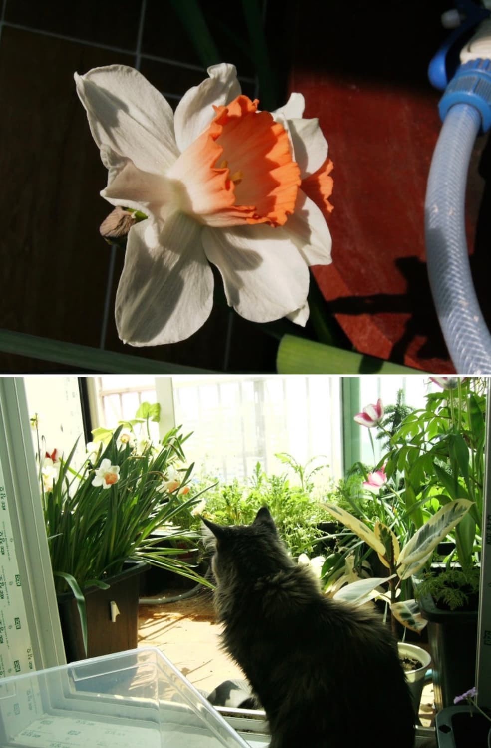 비비타 비비캠 8400 빈티지 디카 상품이미지8