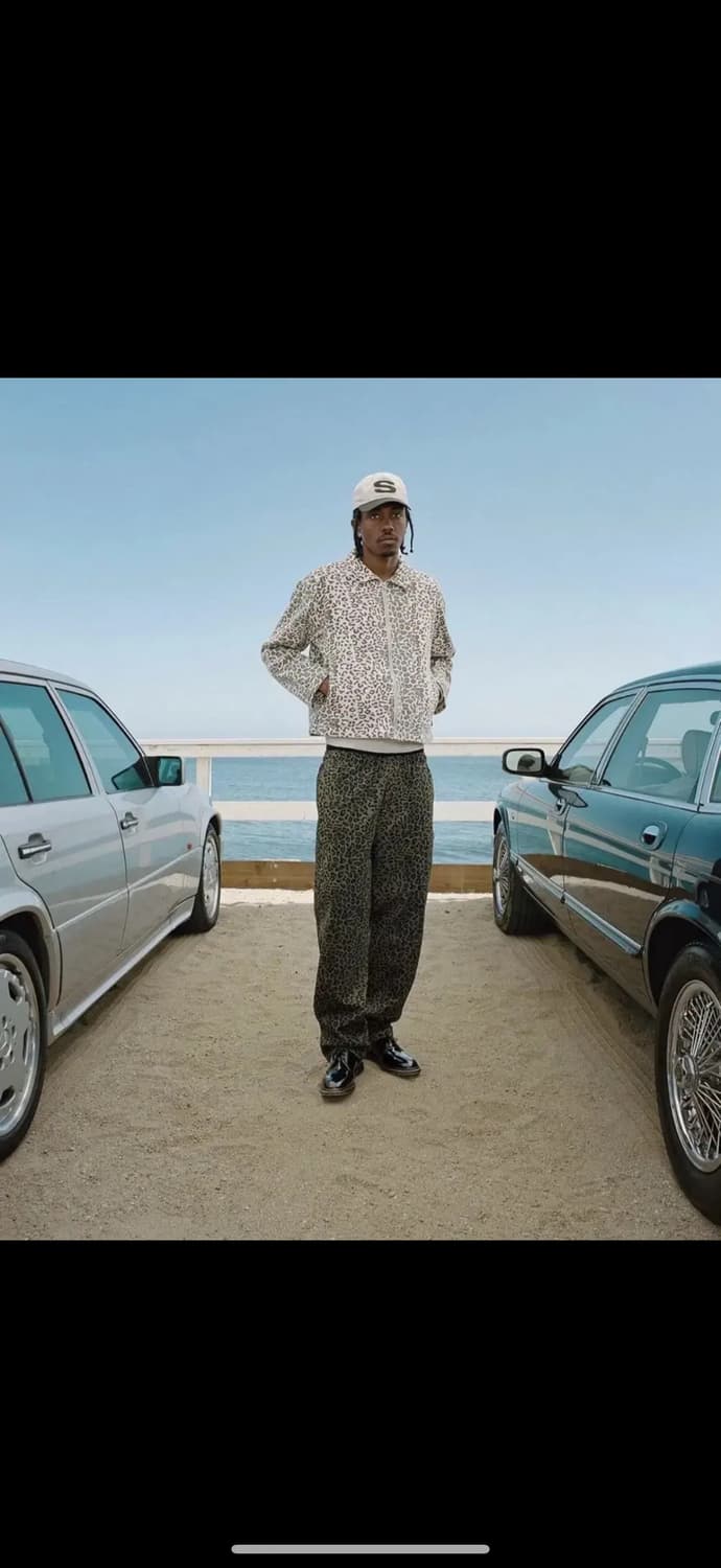 [m] 스투시 브러쉬드 비치 팬츠 레오파드 상품이미지1