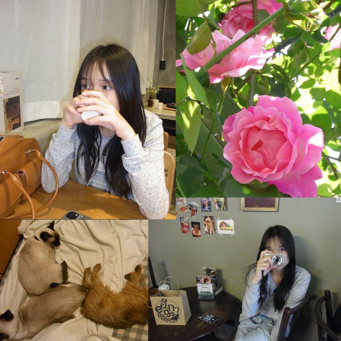 디카 리코 cx1 (작례 0) 상품이미지2