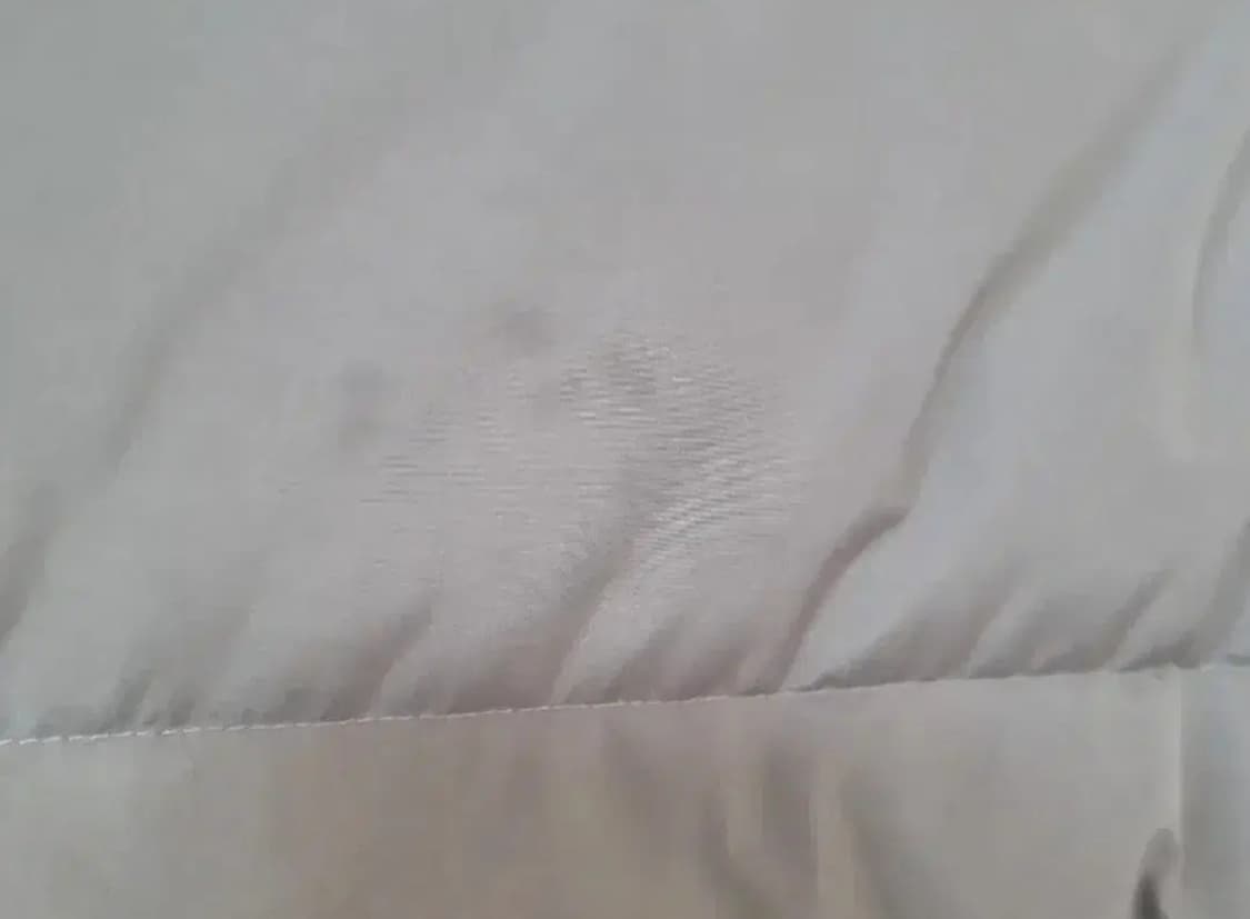 mmgl 에센셜 덕다운 자켓 패딩 3사이즈 상품이미지3