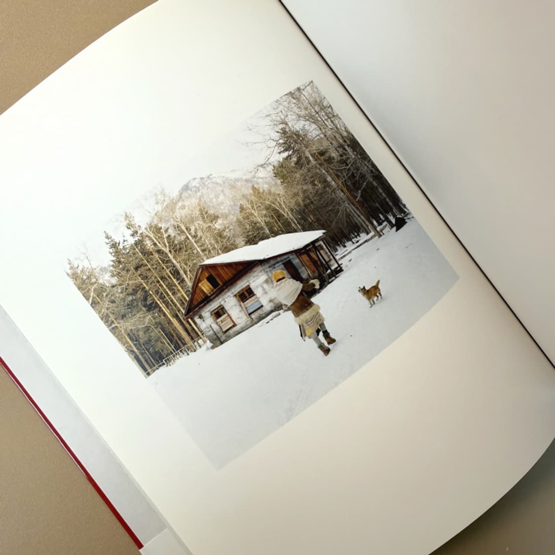 아오이 유우 단델리온 DANDELION 화보집 포토북 사진집 일본 여배 상품이미지10