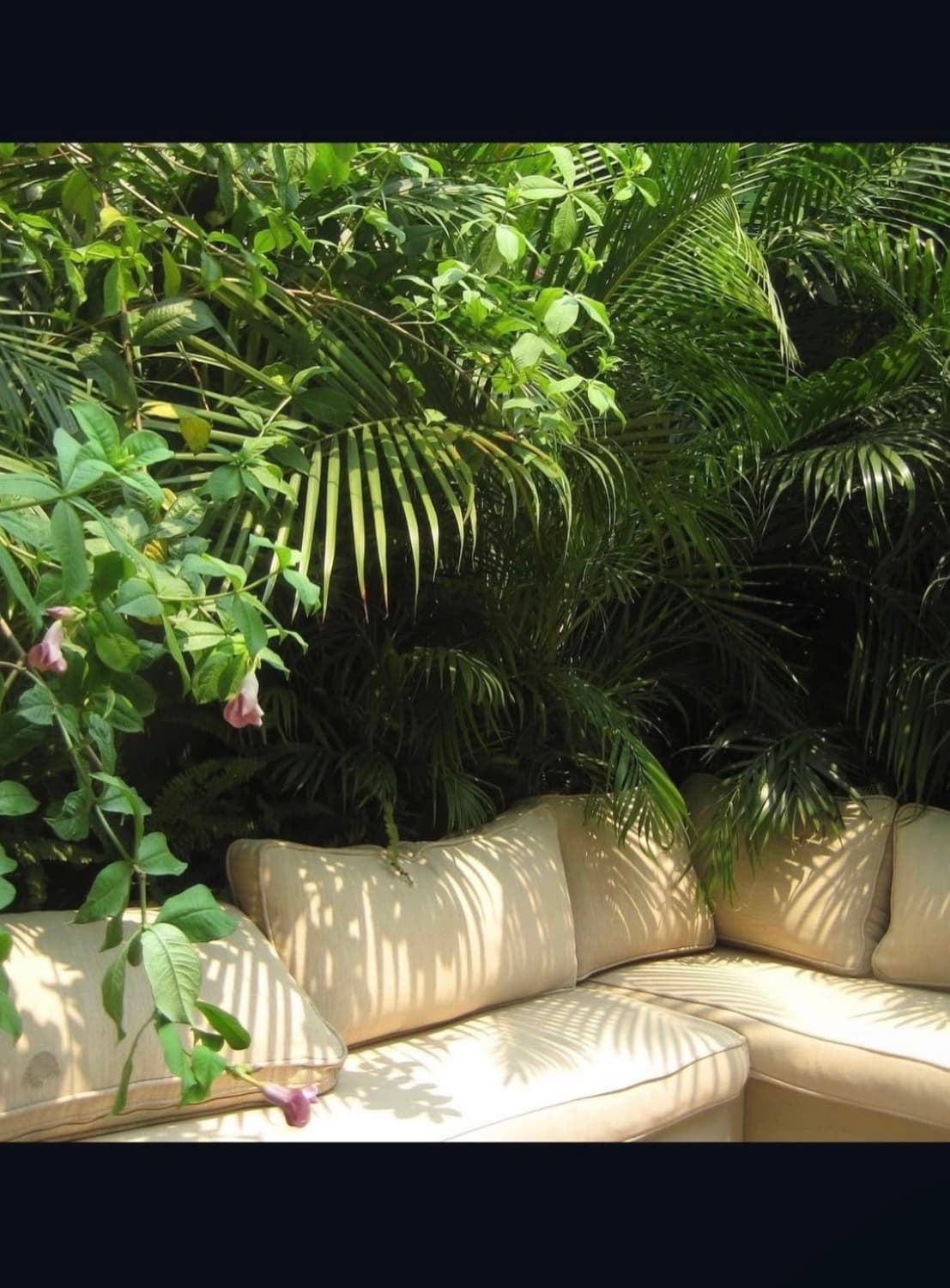 카시오 엑실림 ex z75 디지털카메라 상품이미지10