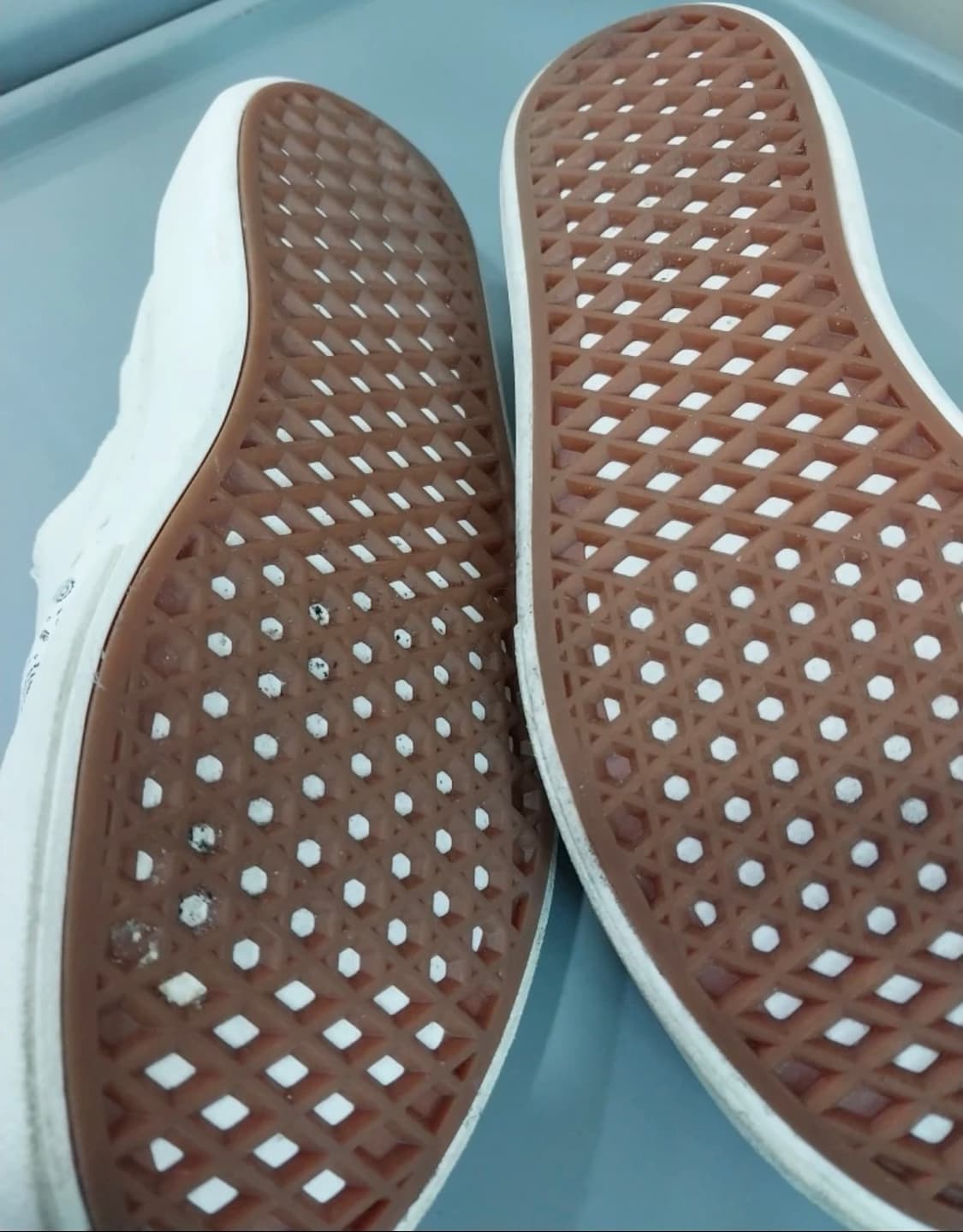 반스 페이즐리 슬립온 260 / 반스 컴피쿠시 페이즐리 슬립온 260 상품이미지5