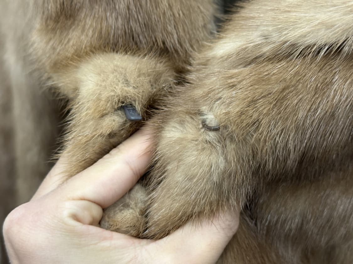 WHITE BEAR (L~XL) 상품이미지9