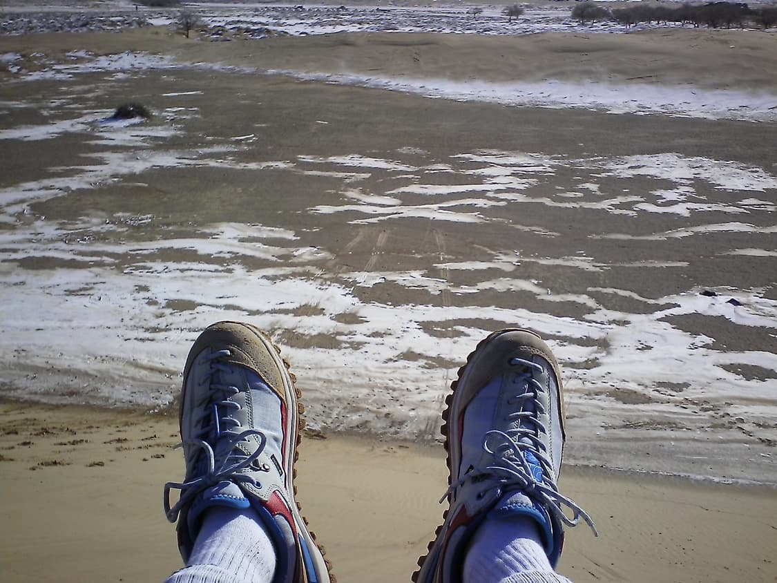 Toshiba BW10 Yellow 상품이미지5