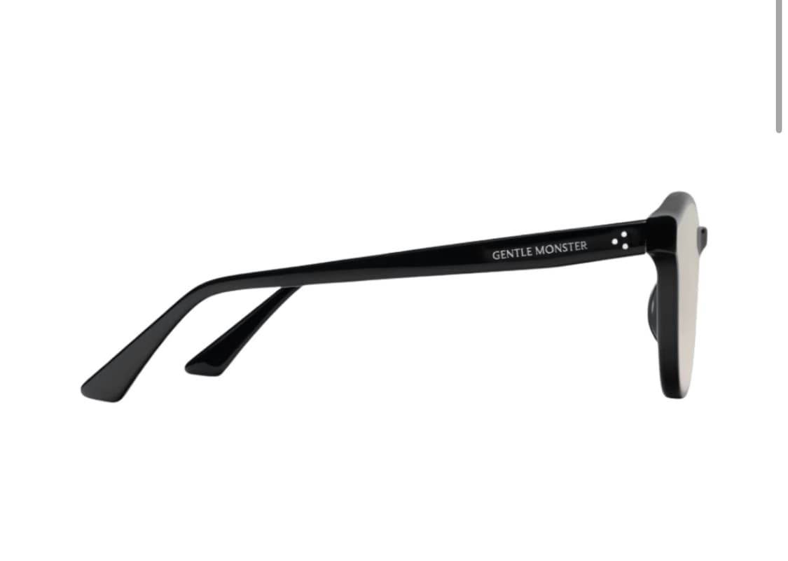 젠틀몬스터 제이드 01 BR 상품이미지2