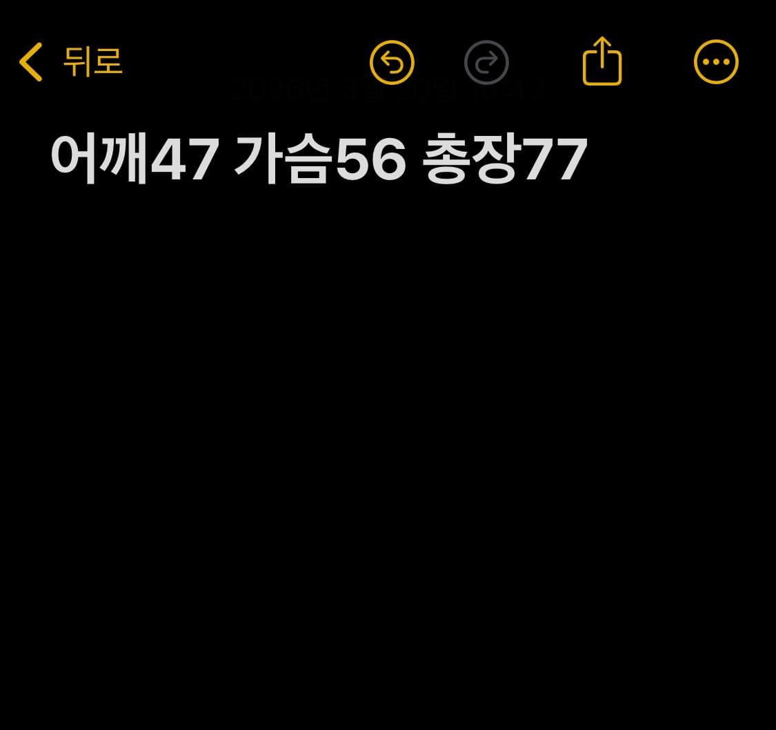 폴로랄프로렌 그린 셔츠 상품이미지5