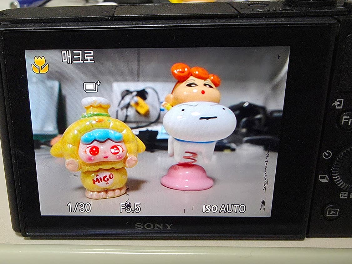 소니 사이버샷 DSC-WX500 빈티지 디지털카메라 상품이미지7