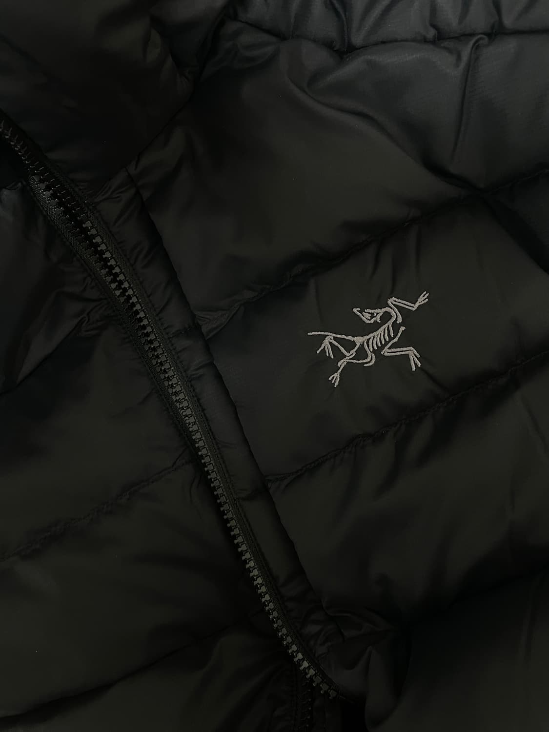 새상품 25FW 아크테릭스 토륨 후디 블랙 상품이미지2