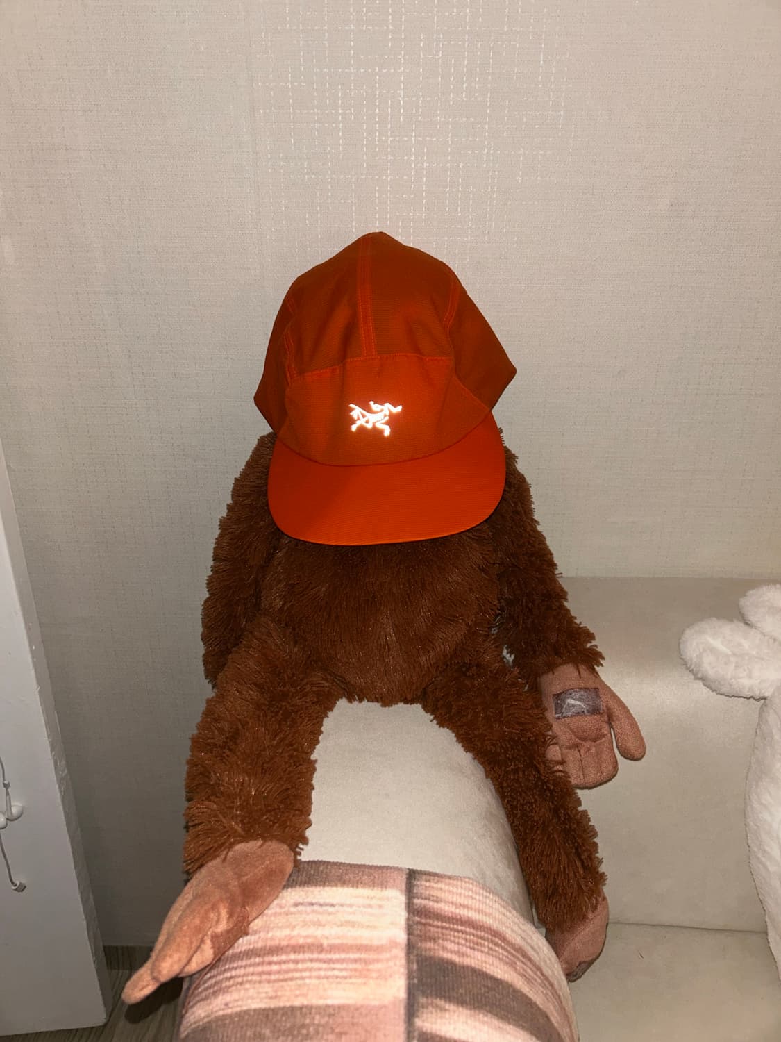 아크테릭스 모자 상품이미지1