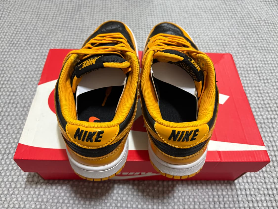 나이키 덩크 로우 레트로 챔피언쉽 골든로드 250 상품이미지3
