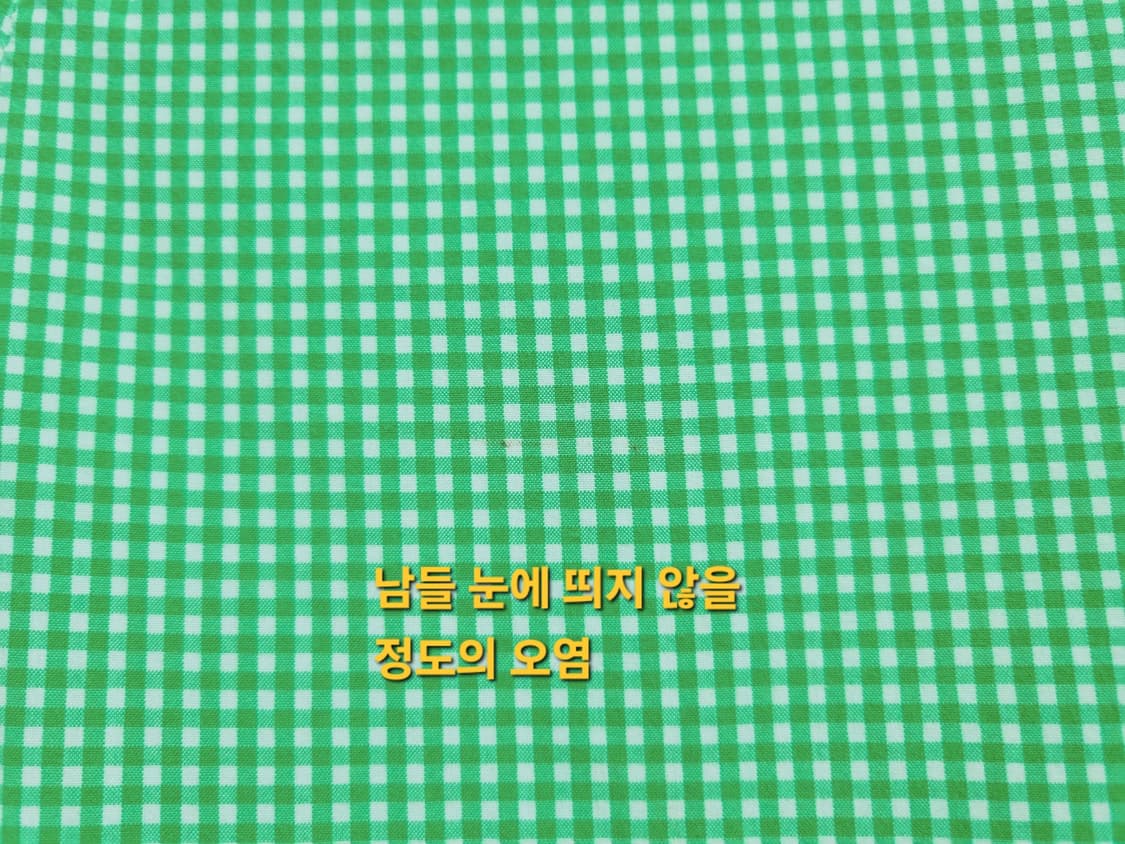 남성 폴로 POLO 랄프로렌 깅엄 체크 반바지 바지 여름 상품이미지6