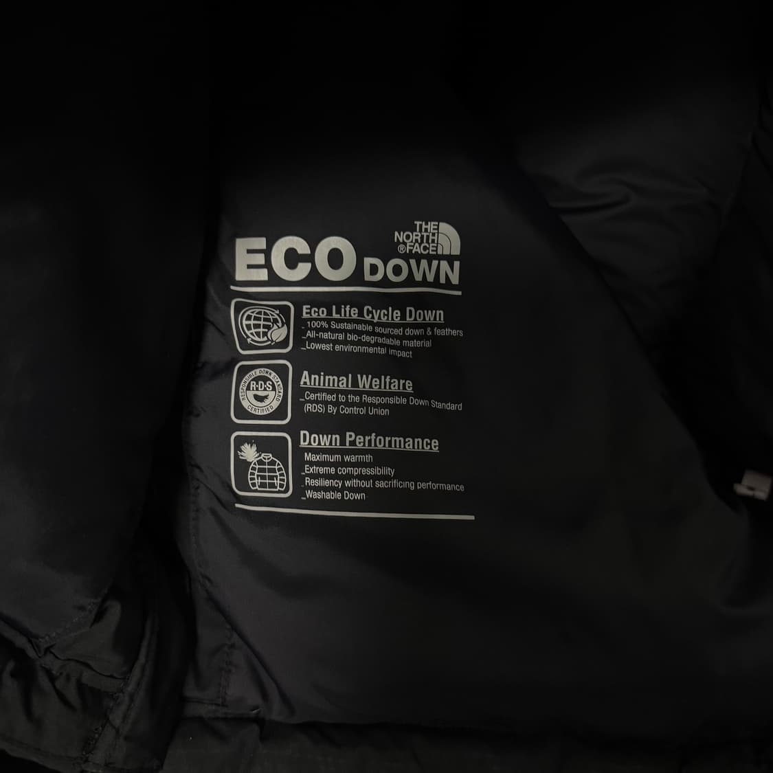 노스페이스 화이트라벨 에글론 EX 다운 자켓 블랙 100 상품이미지6