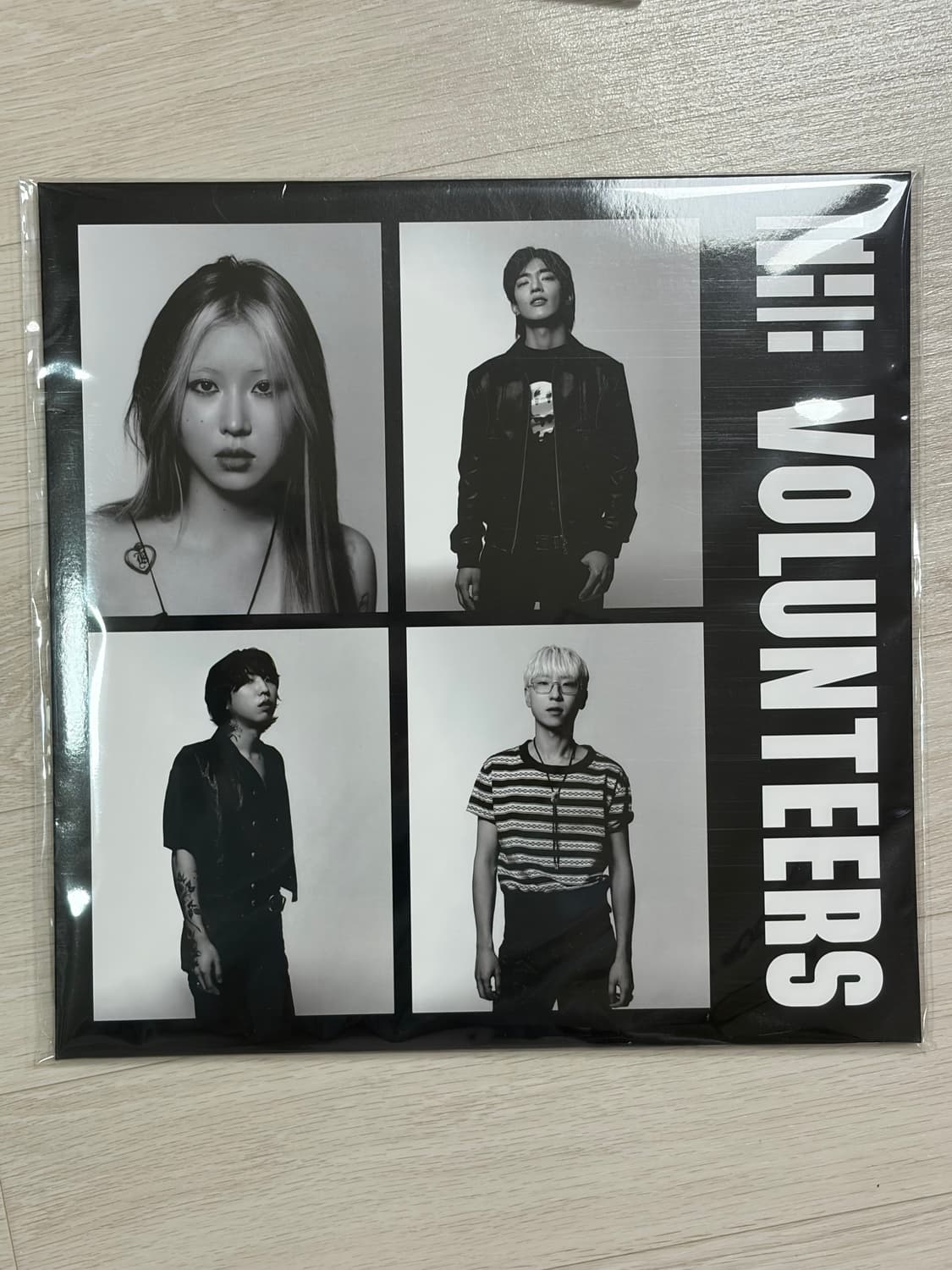 더 발룬티어스 The Volunteers LP 상품이미지1