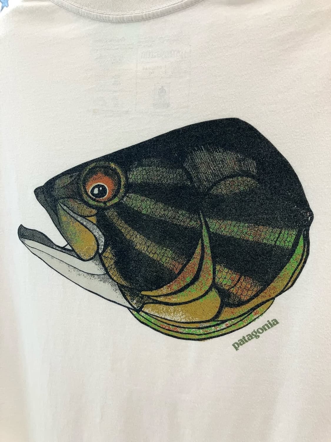 Patagonia fish noggins organic cotton te 상품이미지2