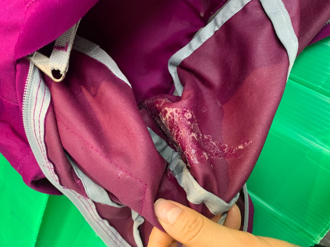 잔스포츠 퍼플 백팩 상품이미지5