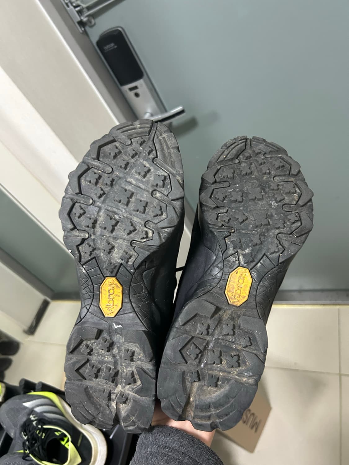 로아 카타리나 41 상품이미지3