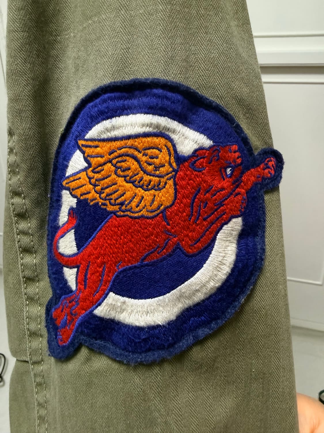 폴로 해골 야상 팝니디. 상품이미지5