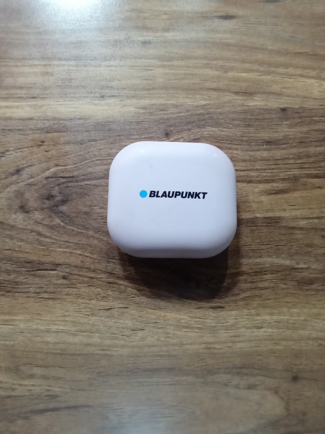 블라우풍트 이어폰 상품이미지1