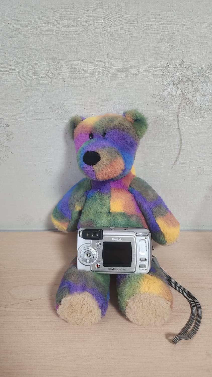 코닥 EasyShare DX6340 디지털 카메라 상품이미지2