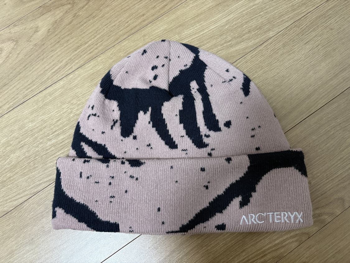 아크테릭스 그로토 토크 비니 상품이미지2