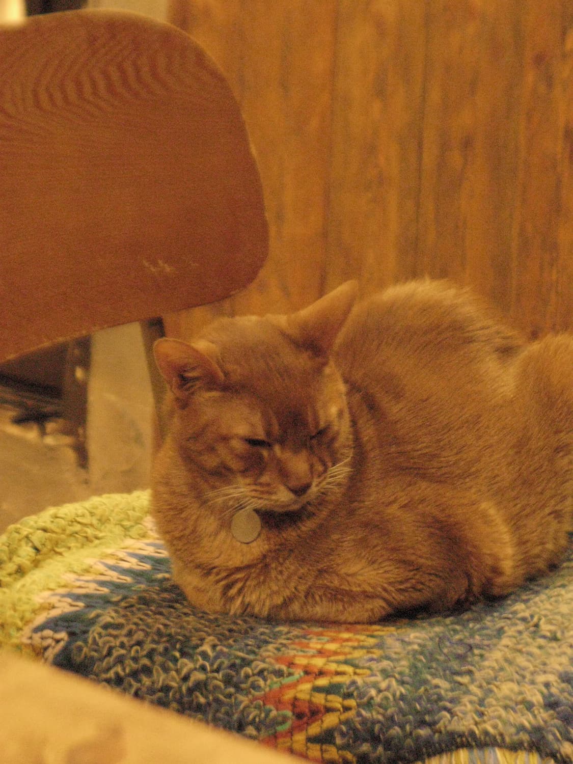 (작례/풀구성)캐논 파워샷 g9 powershot 디카 상품이미지10