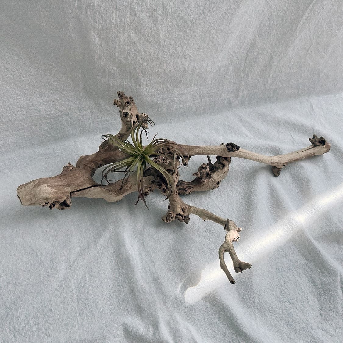 wood object 039 상품이미지2