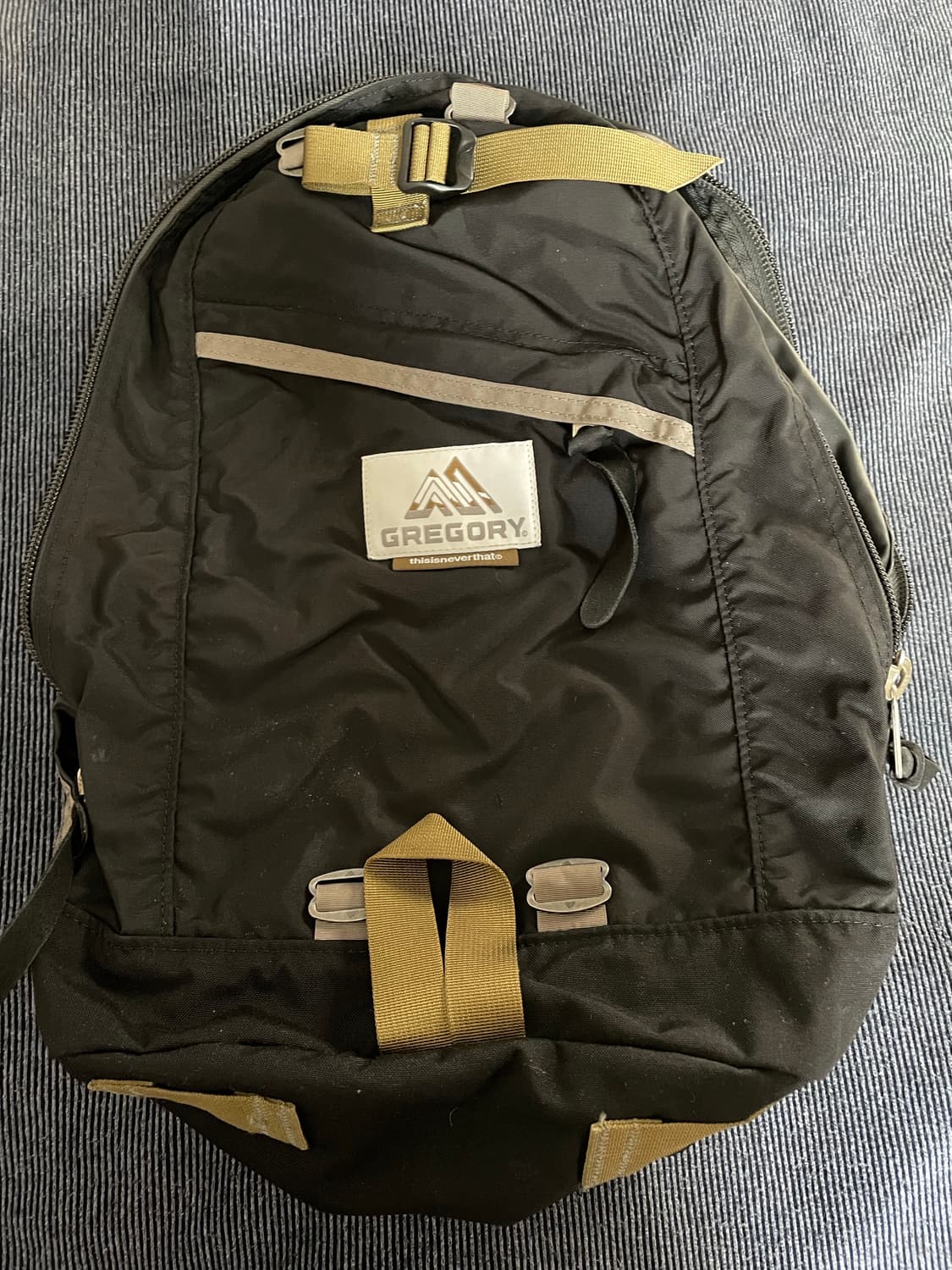 그레고리 백팩 디스이즈네버댓 상품이미지1