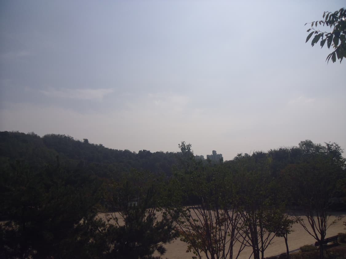 삼성 vluu pl200 디카 (빈티지 카메라) 상품이미지10