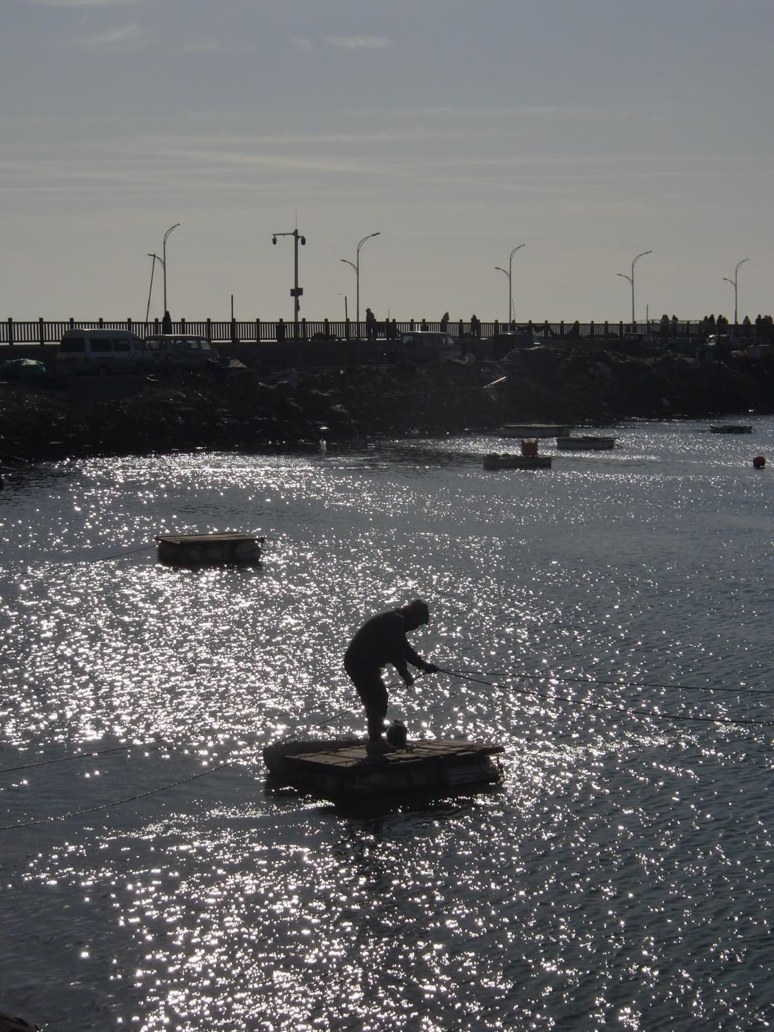 (레어)카시오 엑슬림 FH100 상품이미지5