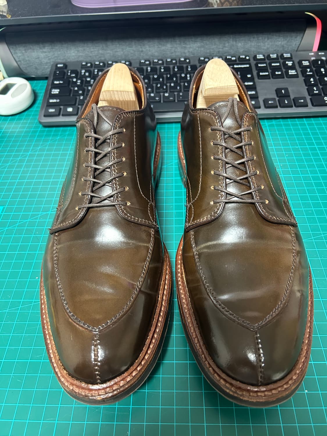 알든 시가쉘 V-Tip 블러처 상품이미지1