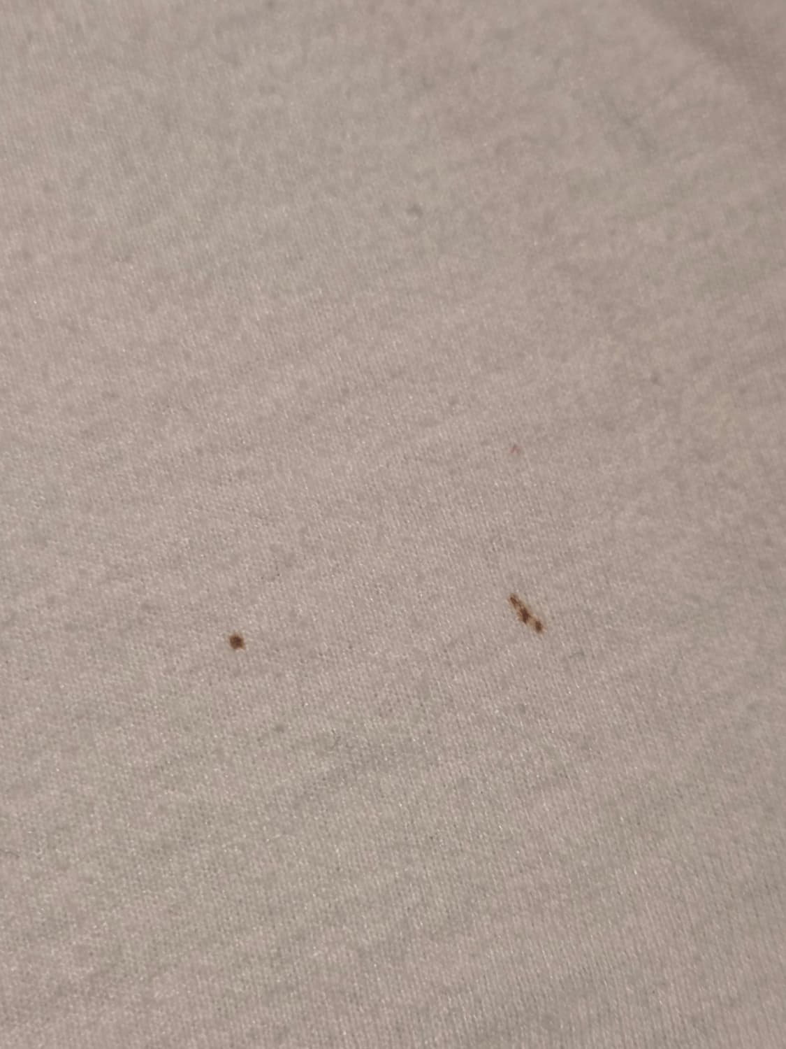 00's 제21회 크리스마스 베이스볼 티셔츠 상품이미지5