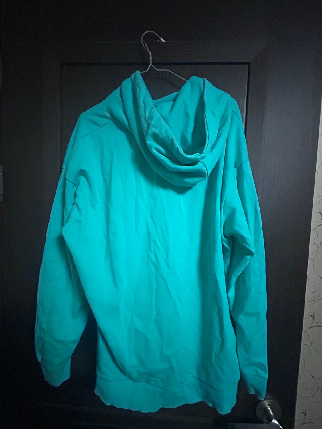 민트 미쿠 코어 후드티 상품이미지2