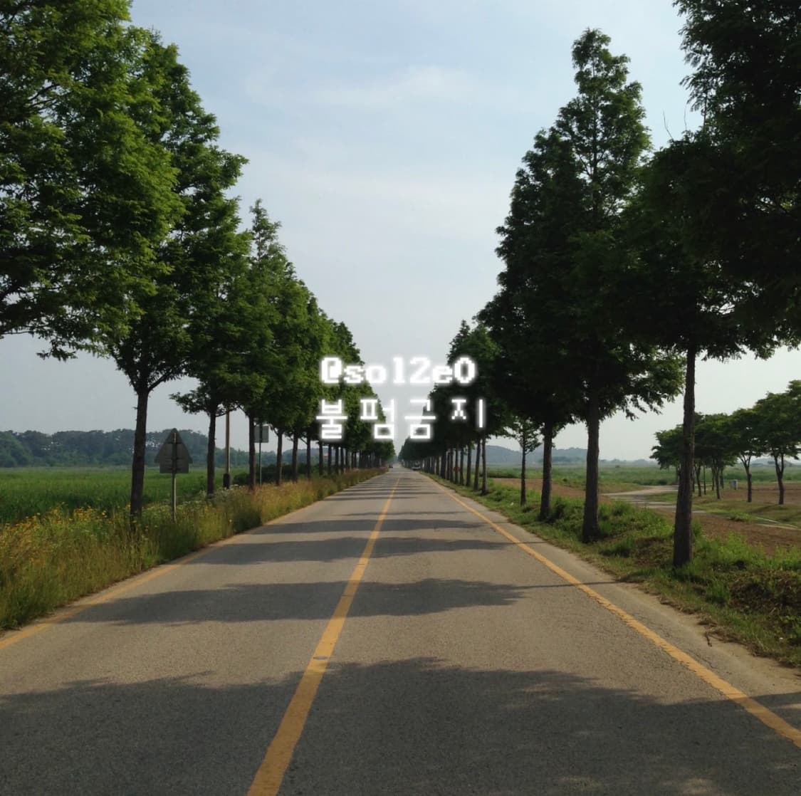 아이폰 5c 32GB 화이트 일본판 [희귀] 상품이미지9