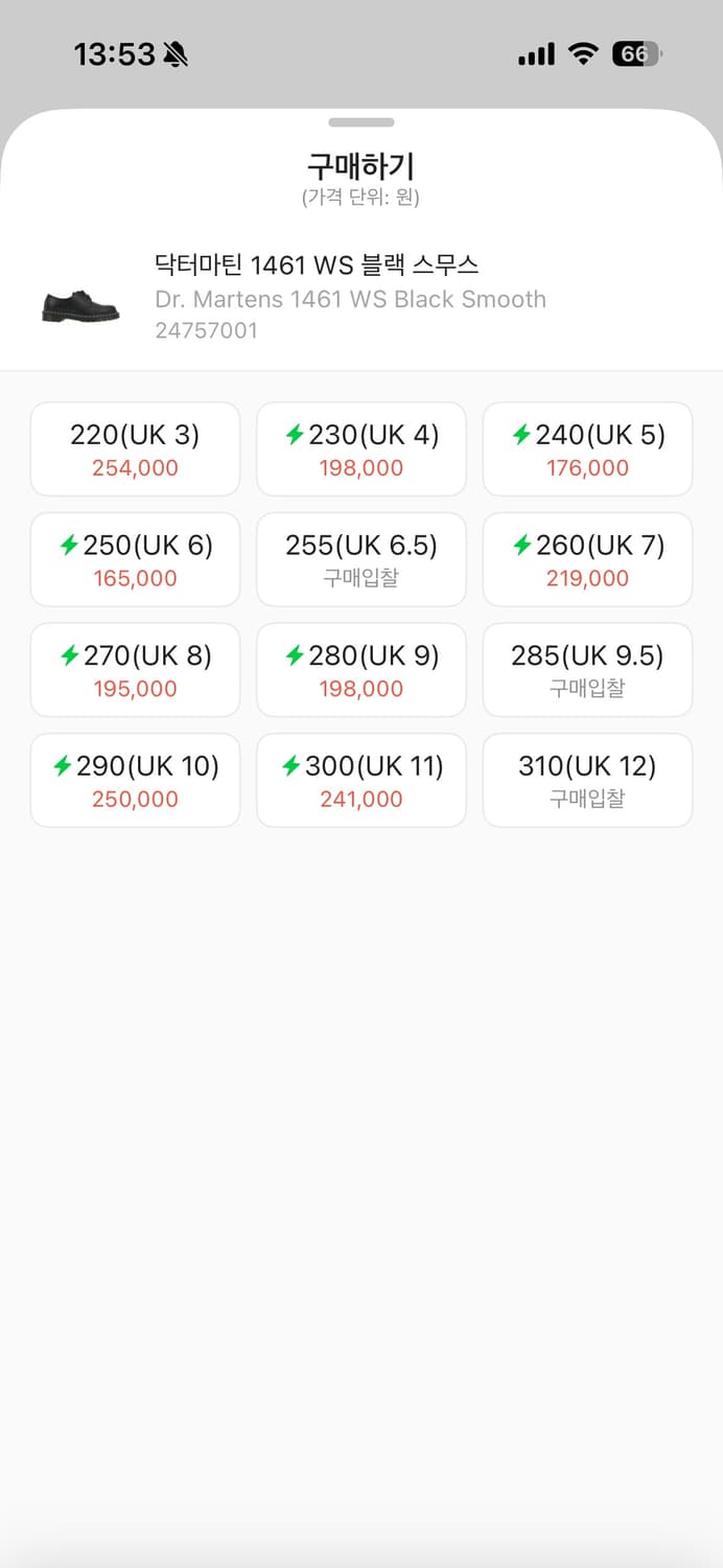 닥머마틴 WS 상품이미지2