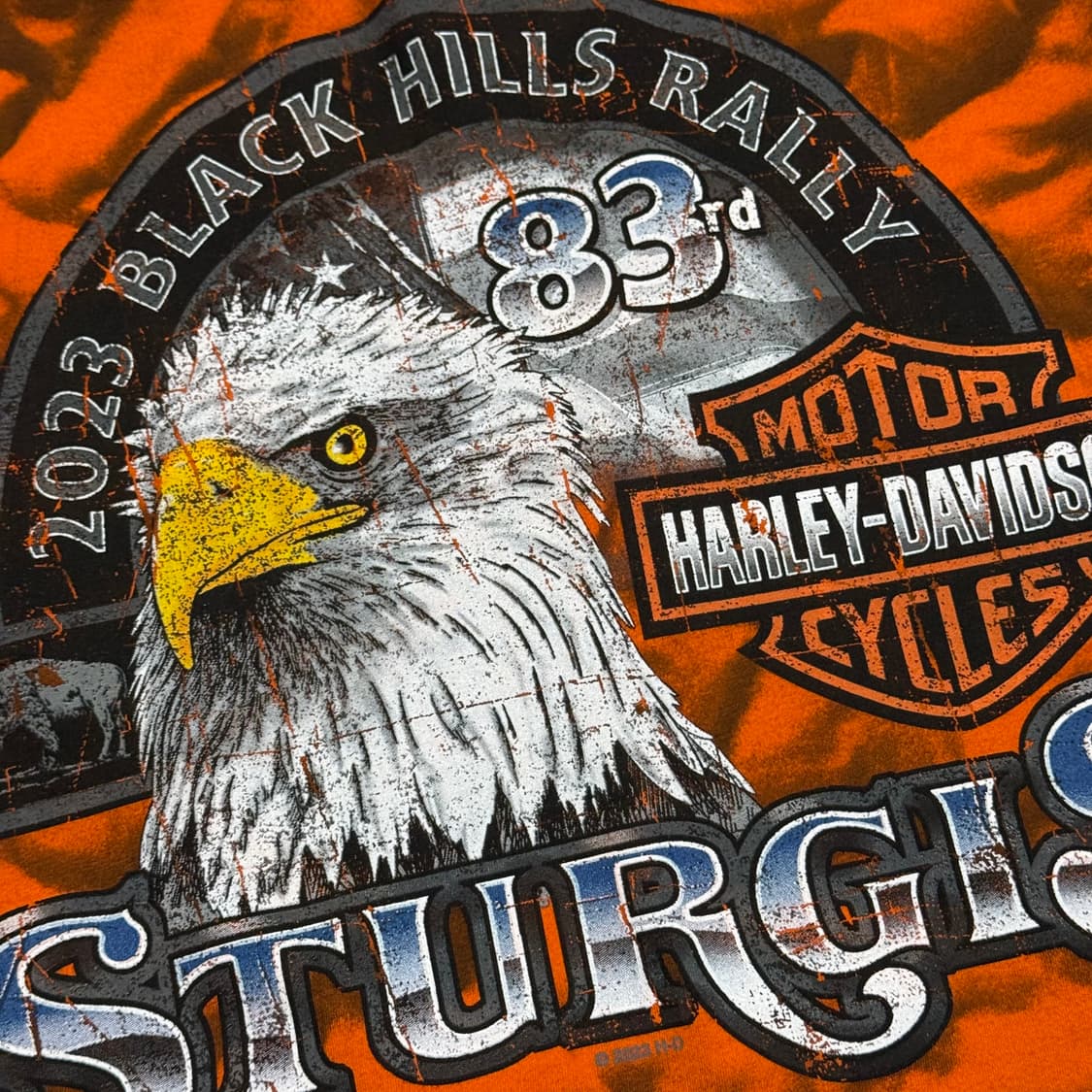 S 할리데이비슨 독수리 프린팅 타이다이 반팔티 상품이미지6