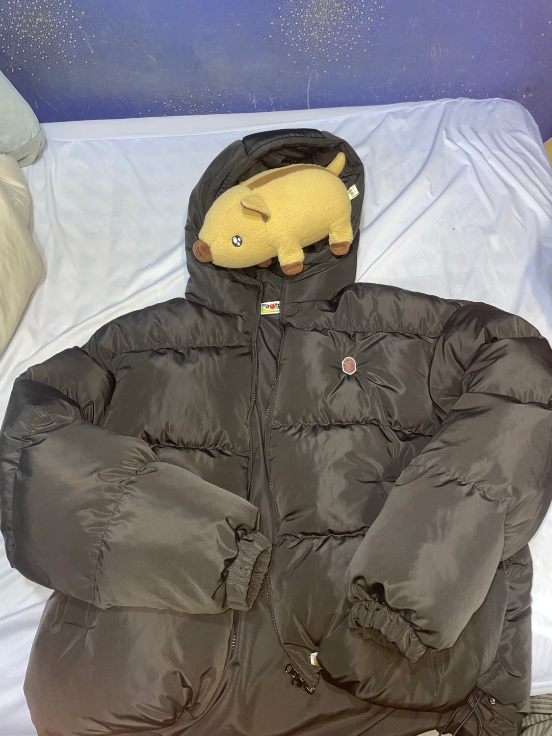 베이프 패딩 팝니다 상품이미지2