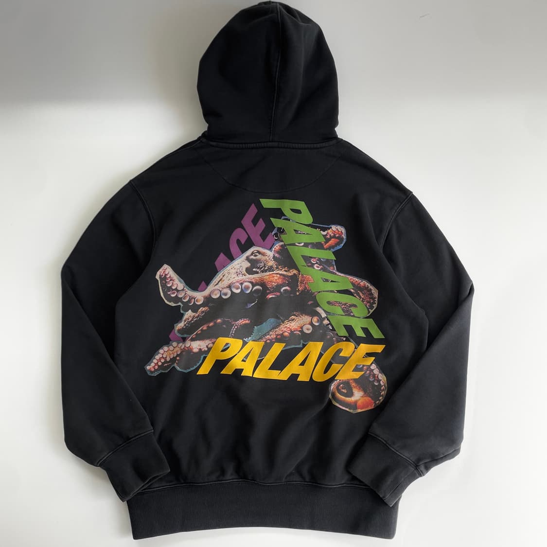 Palace  팔라스 옥토 포레스트 후드티 상품이미지1