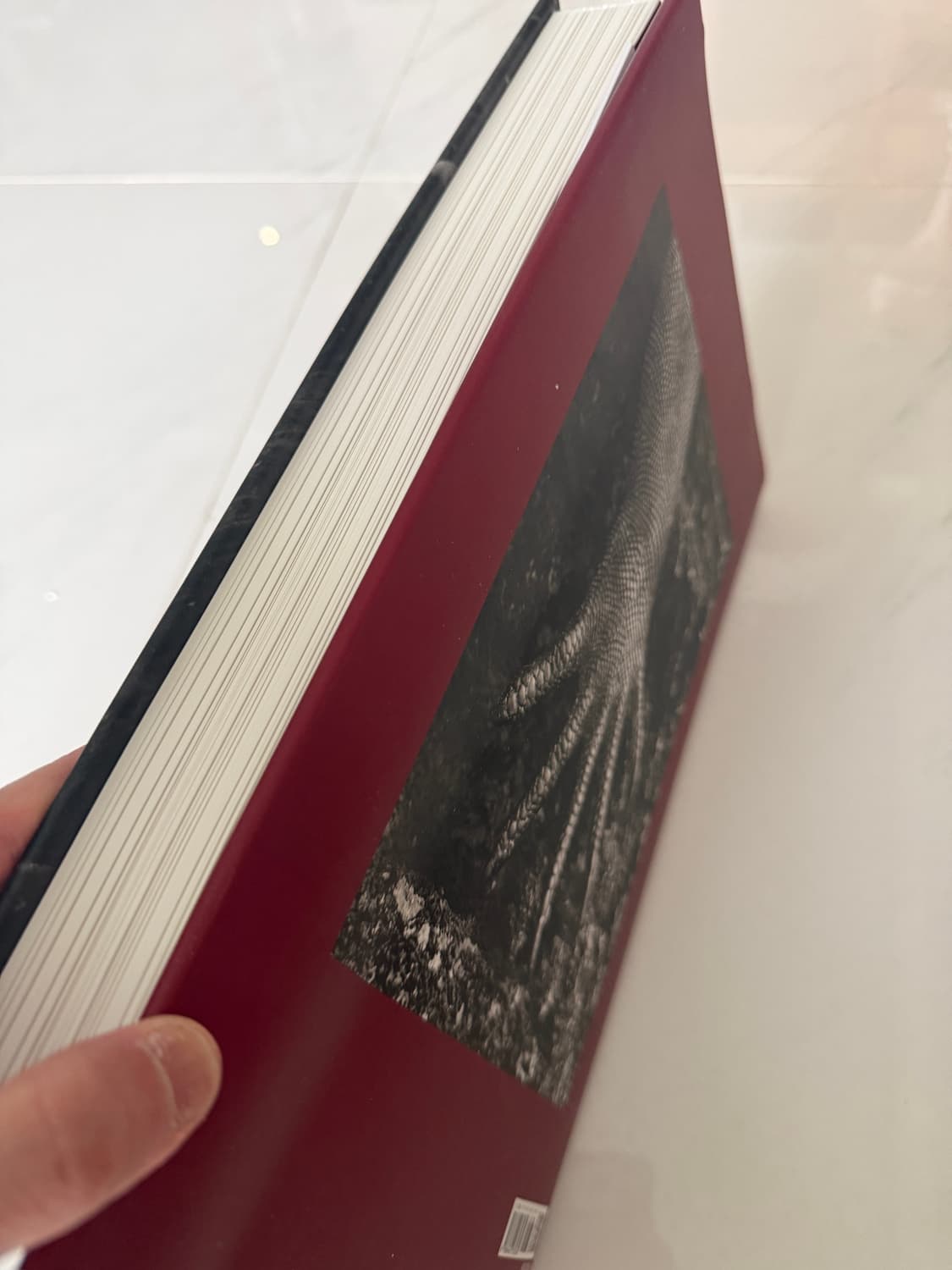 GENESIS : 세바스티앙 살가도 제네시스 상품이미지2