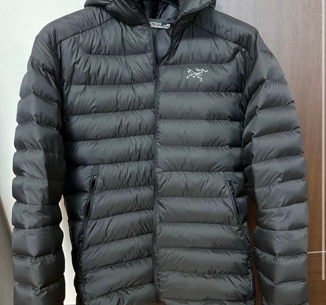 아크테릭스세륨 블랙 상품이미지2