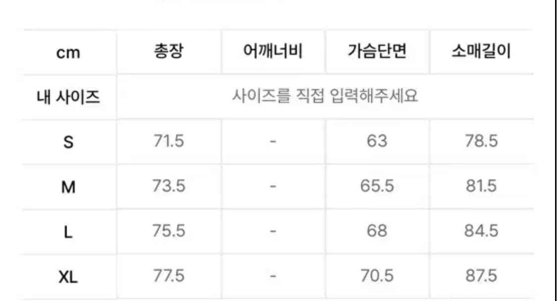 디스이즈네버댓 x GD 고어텍스 3L 상품이미지5