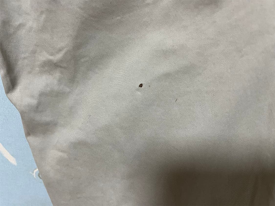 C.P.컴퍼니 남자 면바지 밴딩 춘추 렌즈와펜 XL 34 상품이미지3